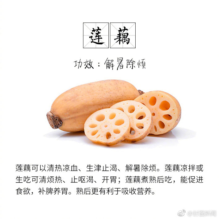 杨钰莹日B一级片视频