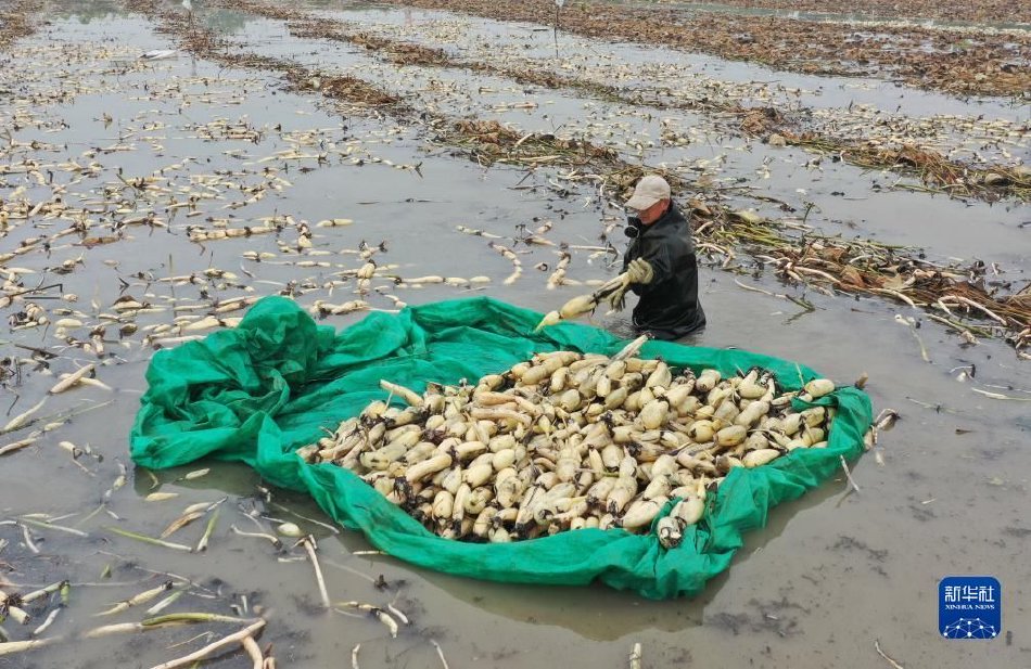 三年中文在线观看免费大全中国