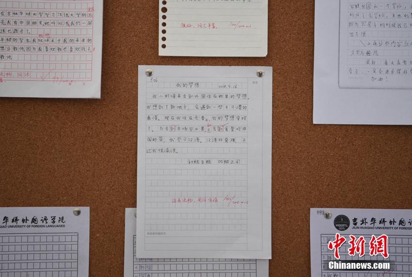 怡红院游戏黄化试玩