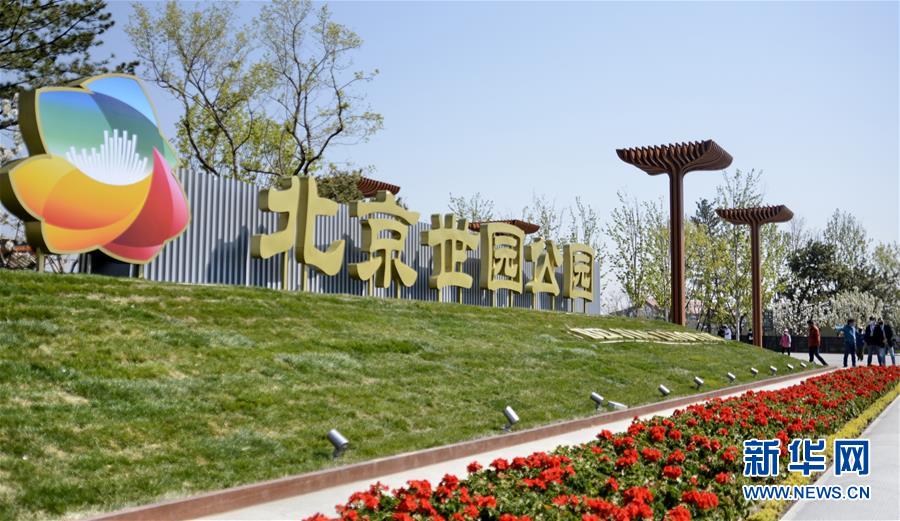 亚洲第一色网
