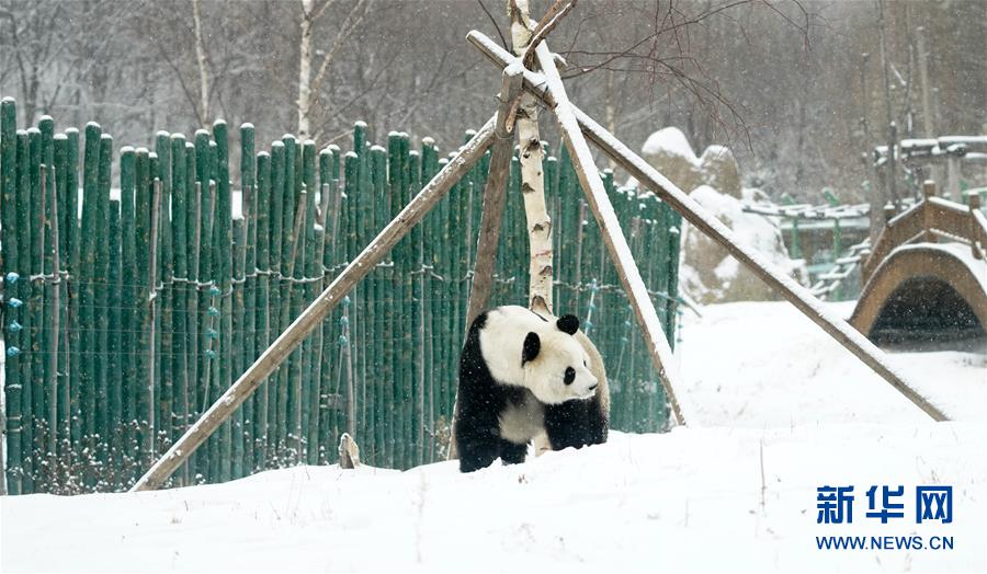 无码网站爱爱