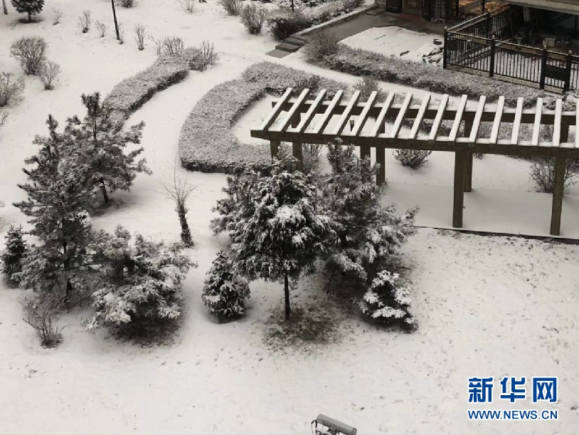 在线播放黄视频