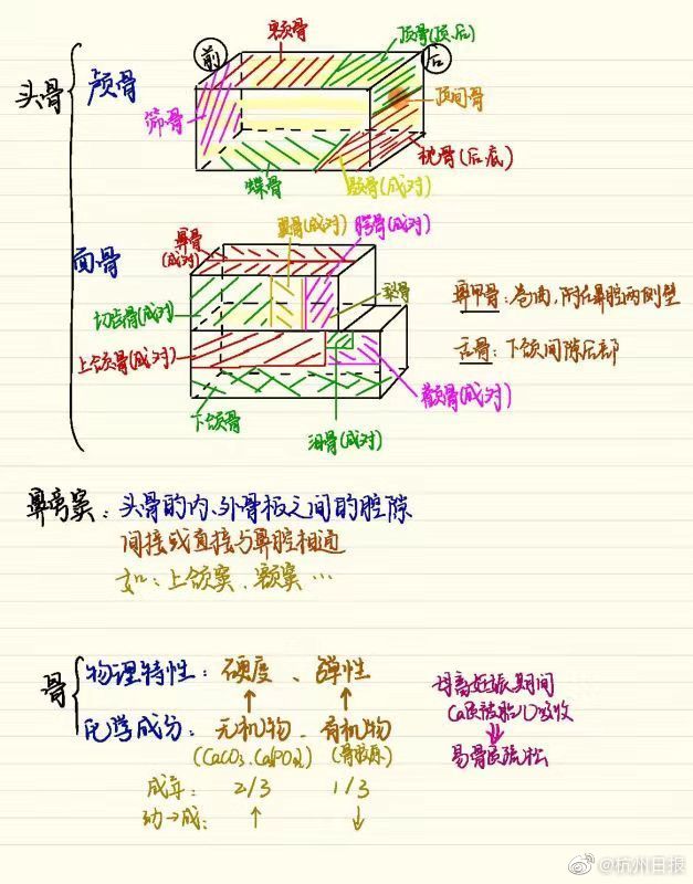 蚂蚁庄园古代满100岁 蚂蚁庄园今日答案100岁[多图]