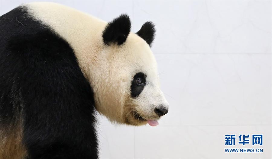 越南看護