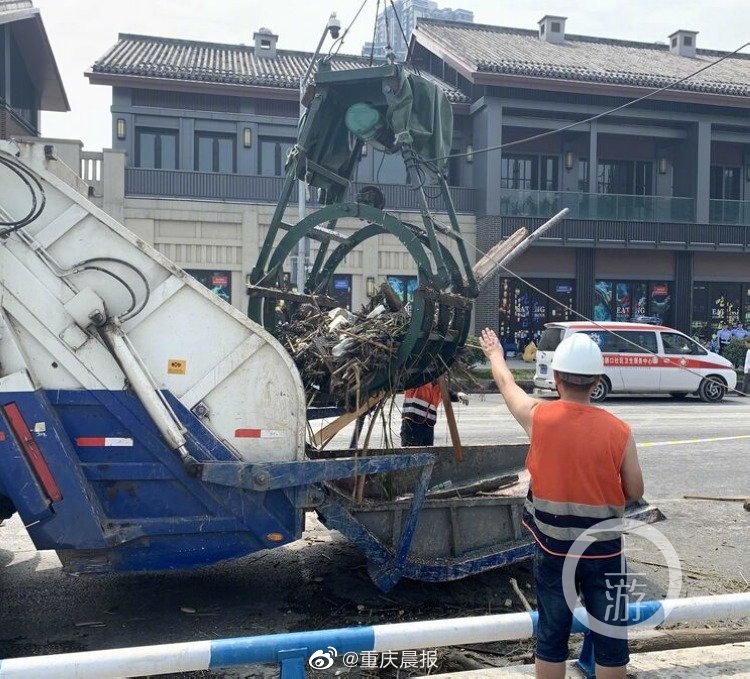 老司机导航