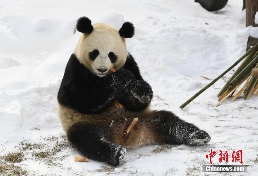 网 红 性爱