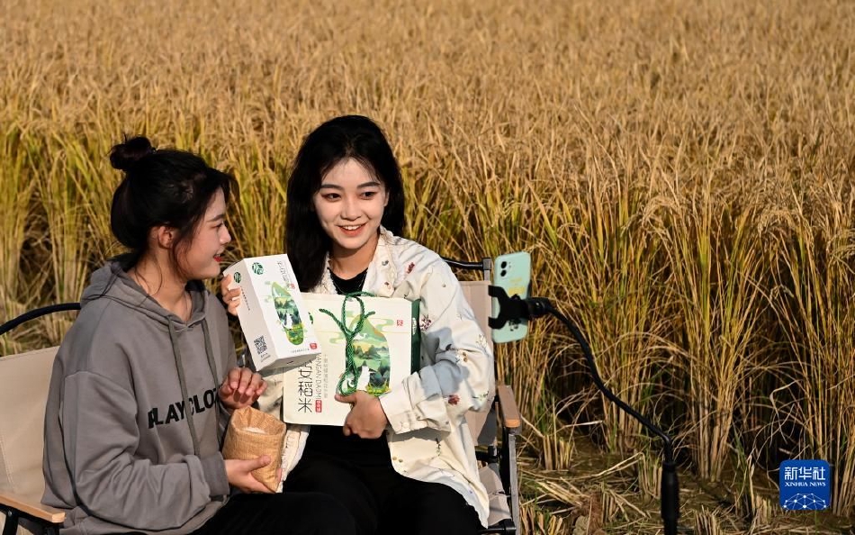 美女隐私网站