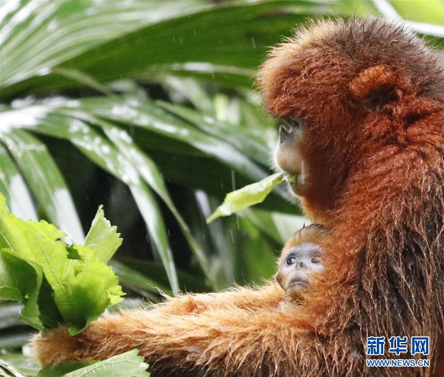 张津瑜被c到高潮下不了床