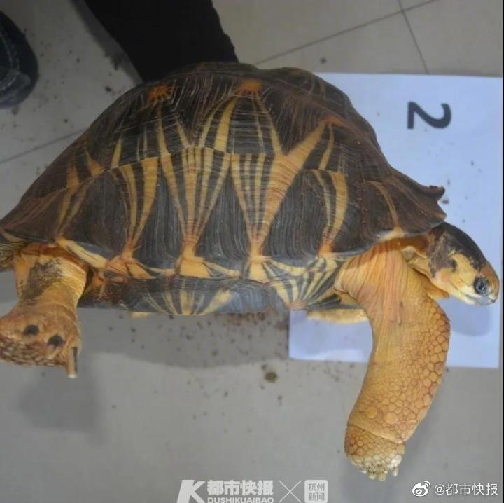 丰满zji少妇高潮大喊大叫