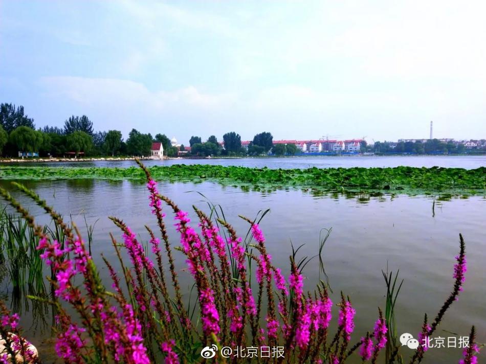 甘雨裸乳被爆 白浆的动漫