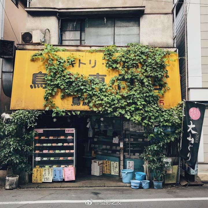日韩乱伦黄色视频