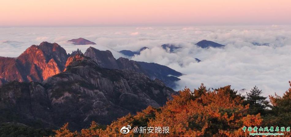 坐公交忘穿内裤被挺进