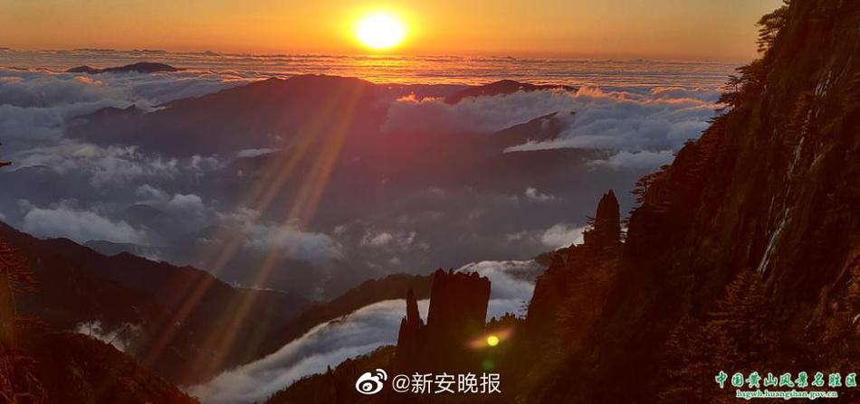 张筱雨大胆生殖魅惑2