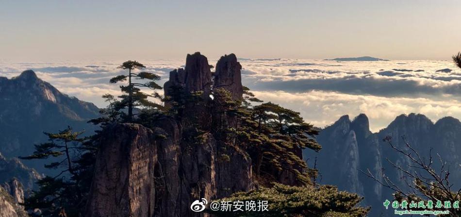 柠檬AV成人导航