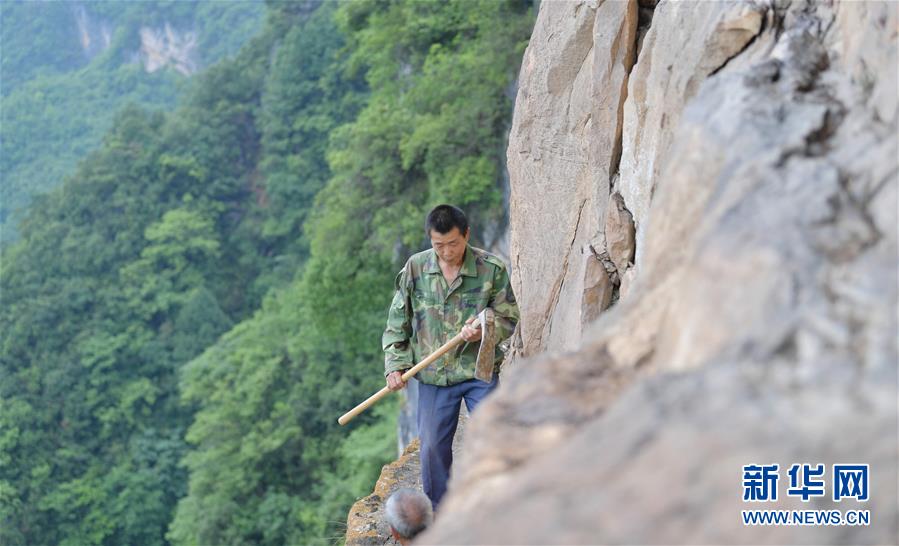 溫網第5比賽日綜述：小花白卓璿無緣更進一步，德約橫掃瓦林卡