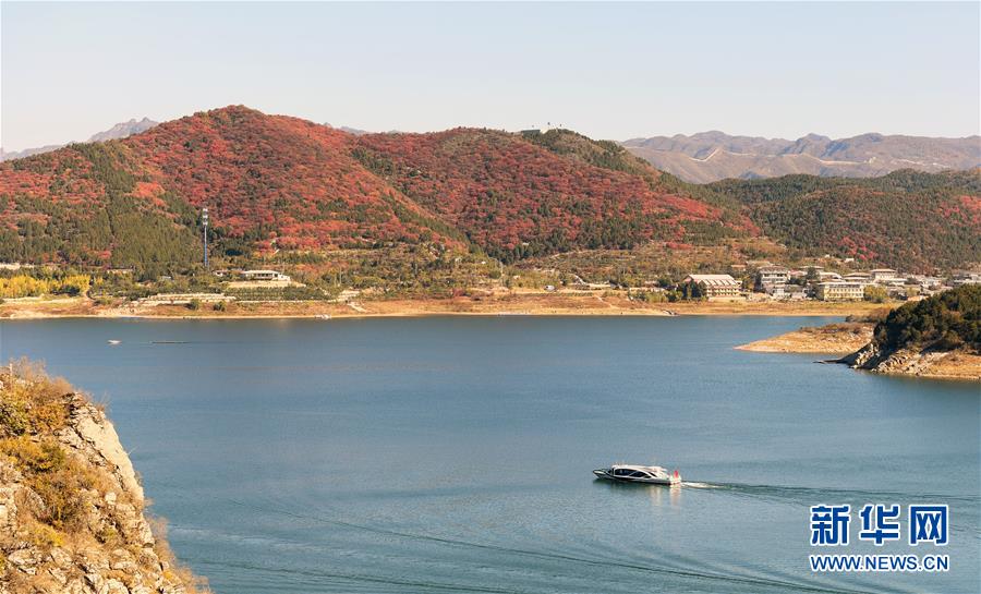 色色酒吧影院