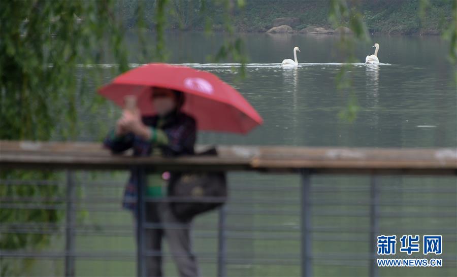 《色戒》汤唯无删减版多长时间