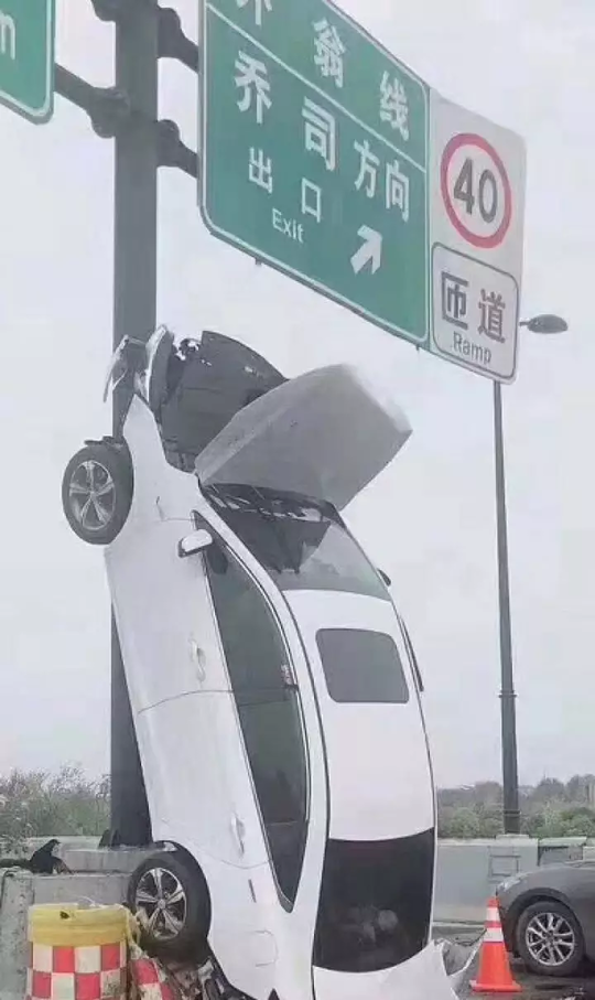 张柏芝给陈冠希吹哨视频大全