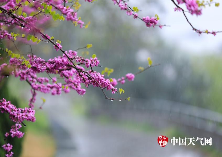 醉酒chin东北壮男Gay野外
