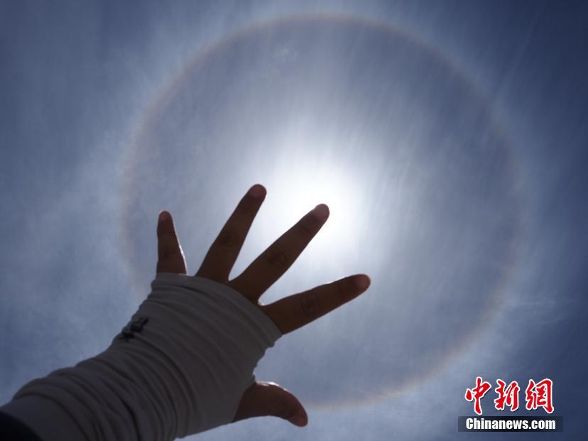 日韩无码高清无码免费