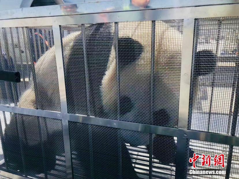 处女第_次日批黄色大片播放