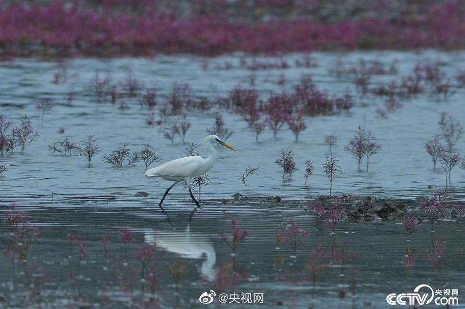 正在播放Aⅴ连续中出无码