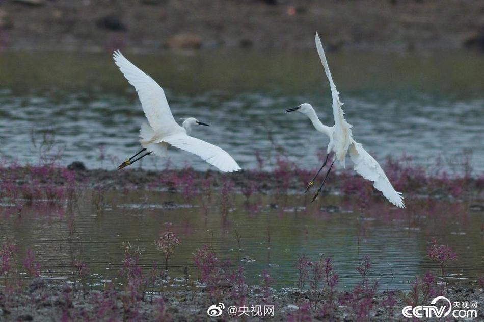 第1268章再干杨幂