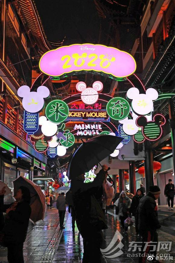 福建大菠萝导航