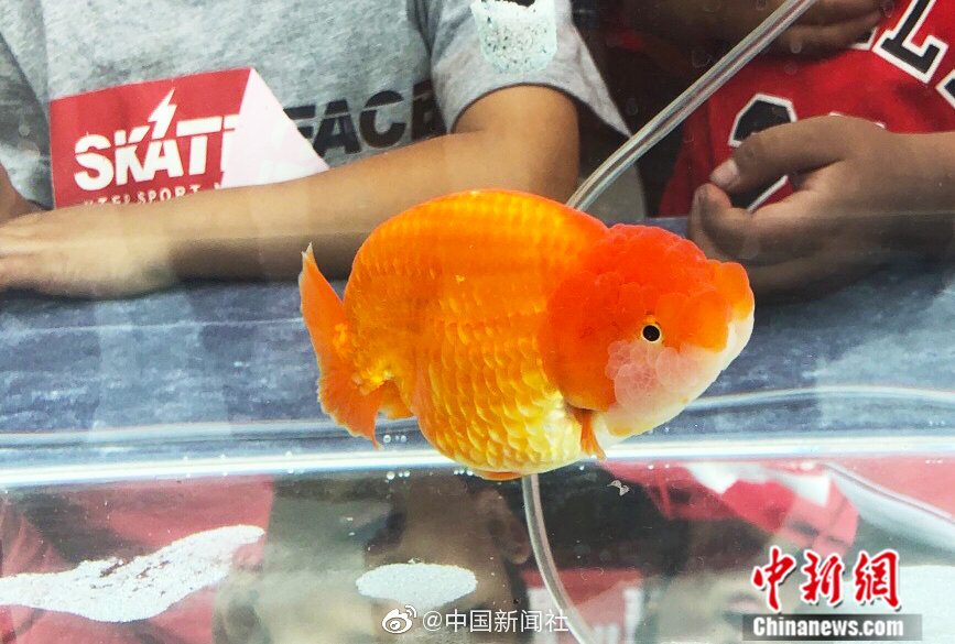 露天風呂盗撮
