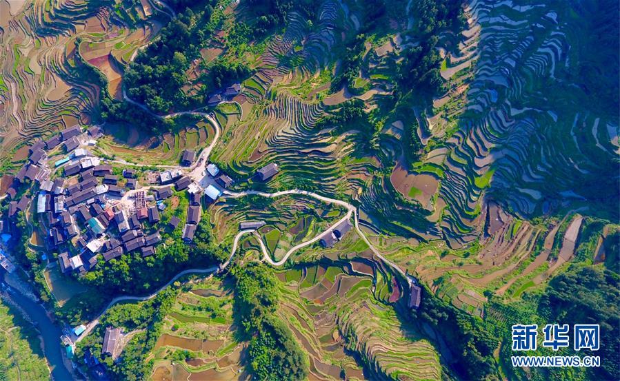 黄油游戏盒子大全