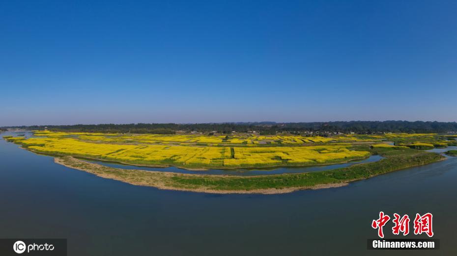 我和岳的乱