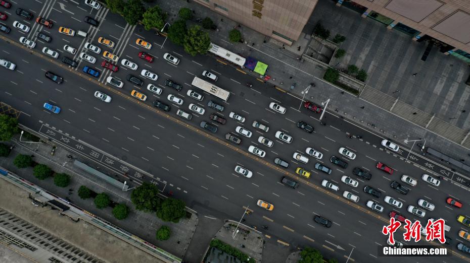 看看女人跟狗操逼的视频吧