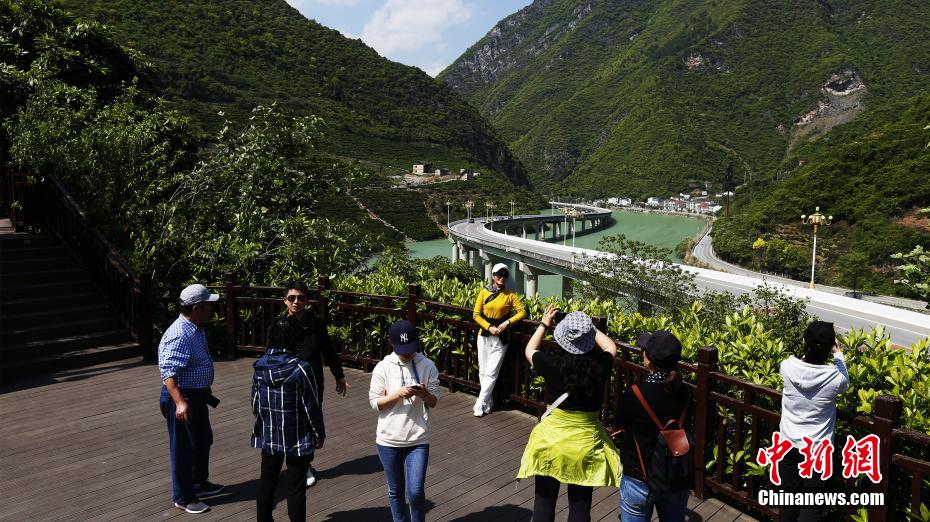 泰国人妖肛门黄色视频网站