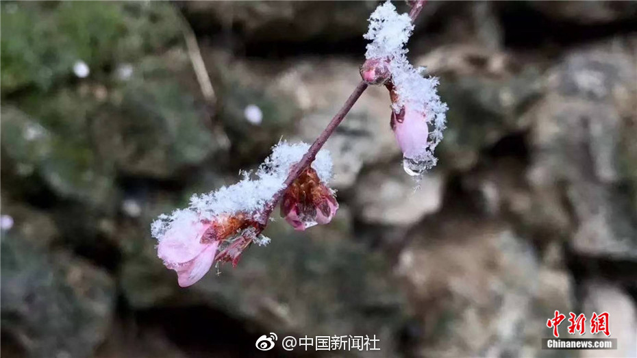 色情 网站 介绍