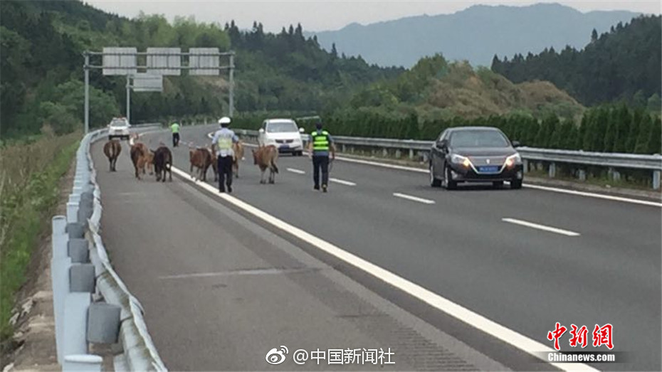 親吻姊姊