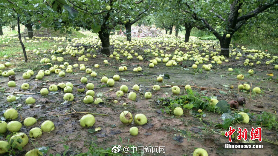 免费 成人 在线 电影