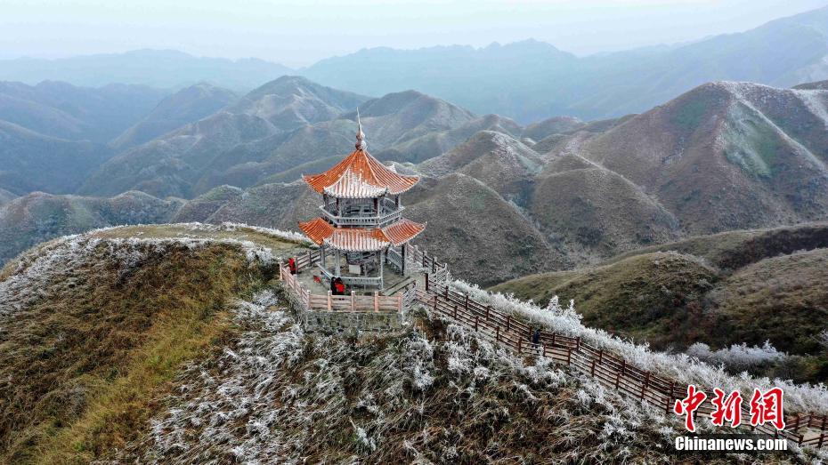 李麗珍三級片