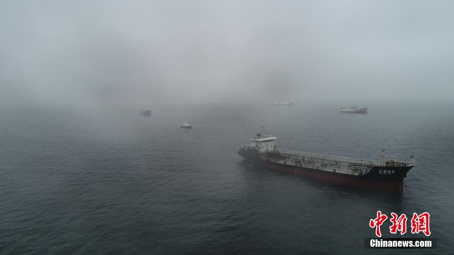 川島和津実