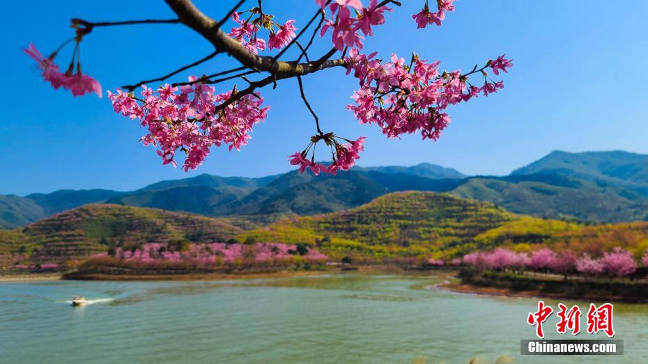 校花灌肠