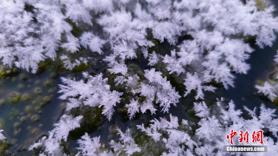 无套内谢小罗莉