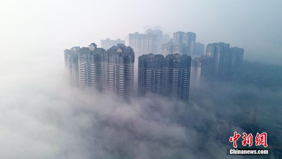 大型黄色网站