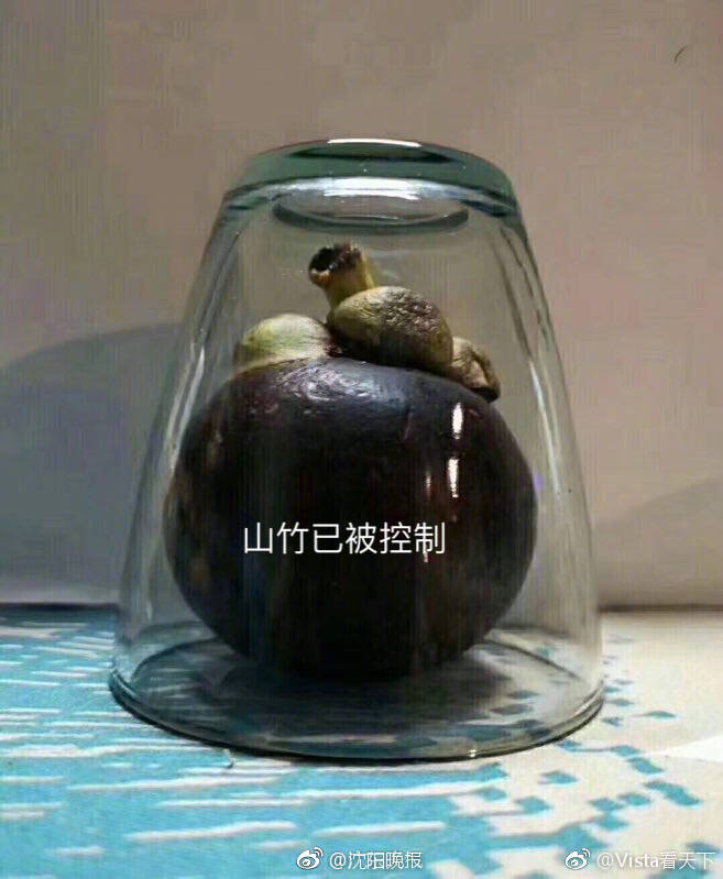 熊海靈三級片