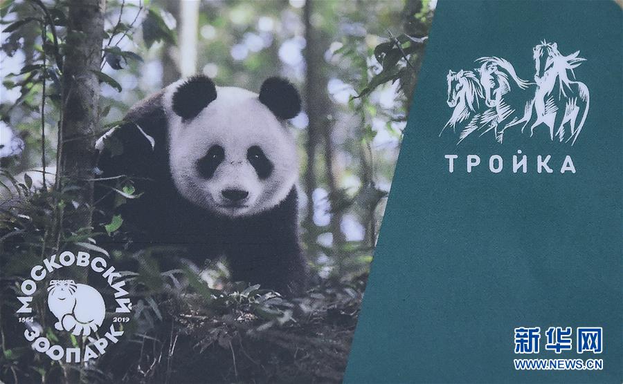 欧美A∨成片大全