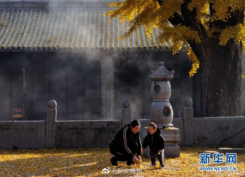 91娇喘    白丝动漫