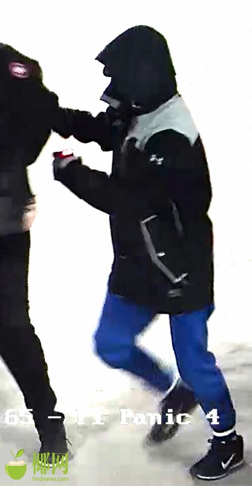 美女全裸体直播
