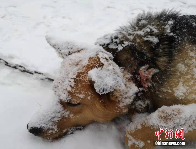不仅仅是比赛：世界杯 哪里看背后的文化与故事