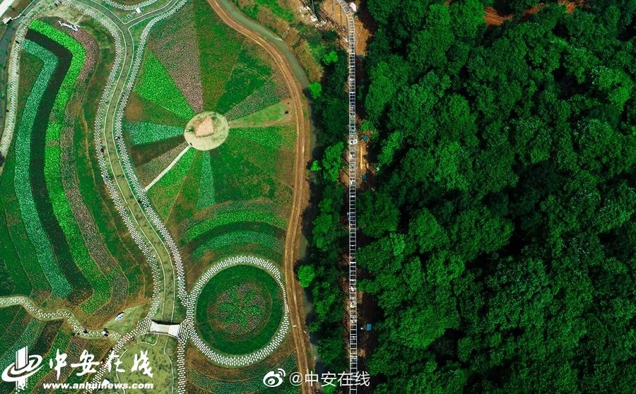 久久精品网