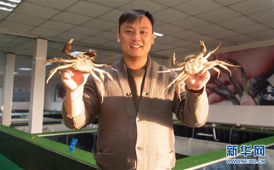2012黄最新色网站