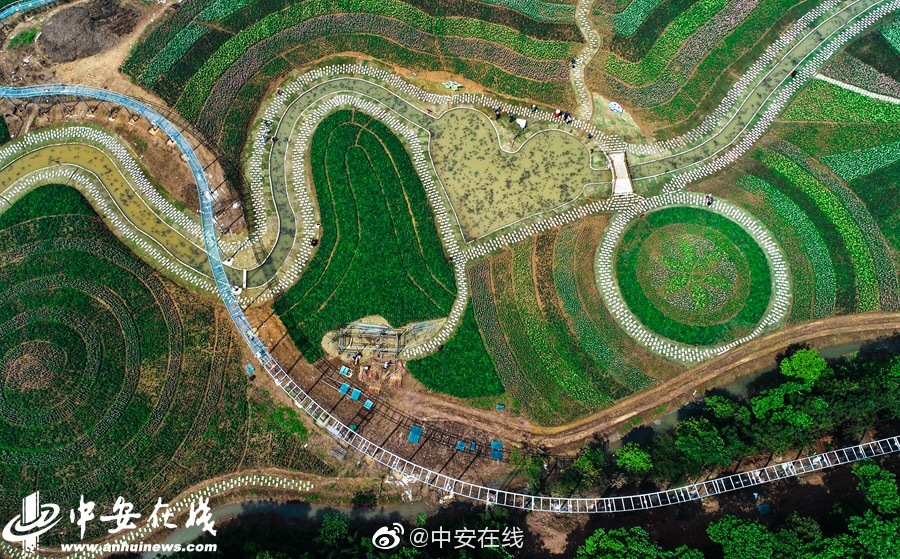 性欧美??潮喷