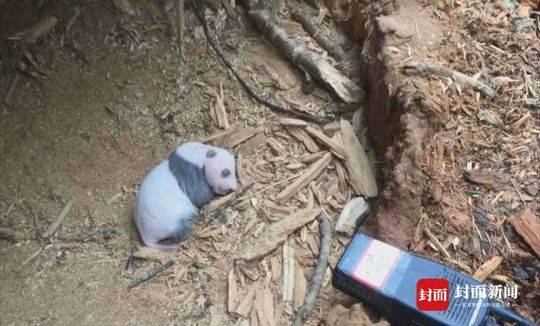 雷电被爆 乳喷自慰爽